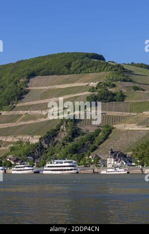 geography / travel, Germany, Hesse, Ruedesheim on the Rhine, Assmannshausen with vineyards of the Rhin, Additional-Rights-Clearance-Info-Not-Available Stock Photo