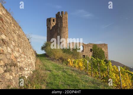 geography / travel, Germany, Hesse, Ruedesheim on the Rhine, castle ruin Ehrenfels western of Ruedeshe, Additional-Rights-Clearance-Info-Not-Available Stock Photo