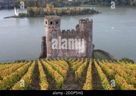 geography / travel, Germany, Hesse, Ruedesheim on the Rhine, castle Ehrenfels above of the Rhine at Ru, Additional-Rights-Clearance-Info-Not-Available Stock Photo