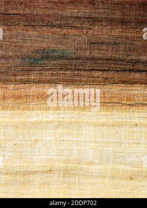 Wood board with light and dark lines Stock Photo