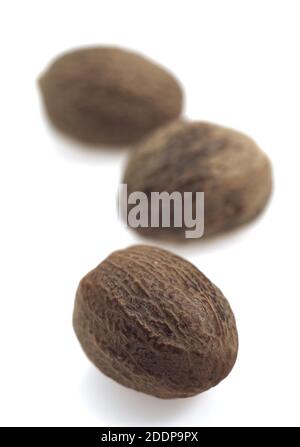 Nutmegs, myristica fragrans, Fruits against White Background Stock Photo