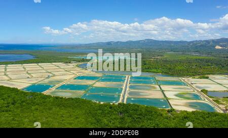 Shrimp Pond and Shrimp Farm. Bohol, Philippines. Ponds for shrimp farming. Stock Photo