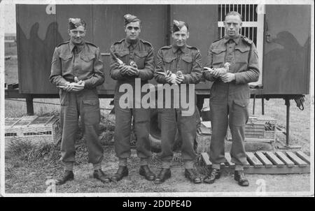 Carrier Pigeons and their British Army owners returned from active service at the end of WW2 in 1945. 4 soldiers in front of a mobile pigeon loft. Stock Photo