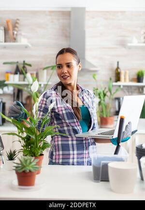Woman gardener using laptop in home while decorating kitchen with flowers. Decorative, plants, growing, lifestyle, design, botanica, dirt, domestic, growh, leaf, hobby, seeding, care, happy, green, natural, Stock Photo