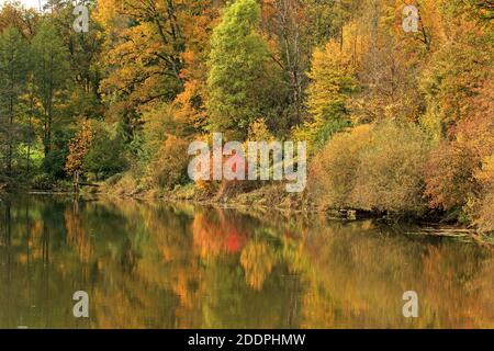 autumn mood at a lake, Germany, Baden-Wuerttemberg Stock Photo