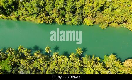 River and tropical rainforest in summer day. The drone is flying on the river. Aerial landscape. Bohol, Philippines. Stock Photo