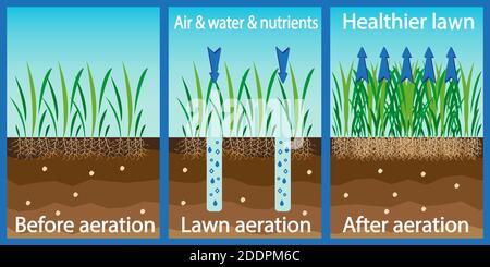 Aeration of the lawn. Enrichment with oxygen water and nutrients to improve lawn growth. Before and after aeration: gardening, lawn care services. Adv Stock Vector