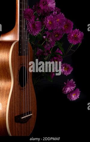 Brown guitar ukulele magenta flowers black background Stock Photo