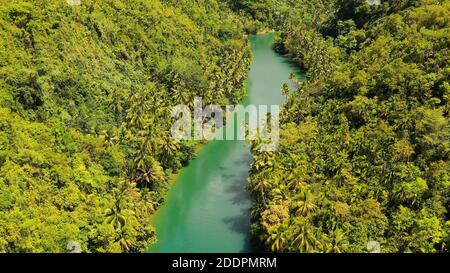 Aerial drone of Tropical Loboc river in the rainforest. Mountain river flows through green forest. Bohol, Philippines. Stock Photo