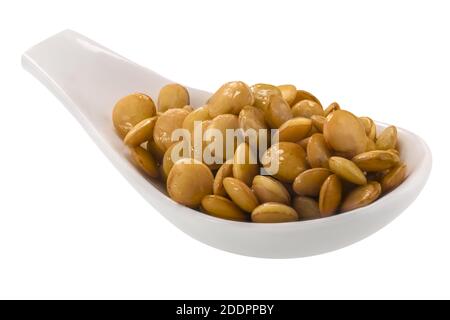 Spoonful of cooked lentils (Lens culinaris seeds) isolated Stock Photo