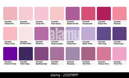 Colour Palette Catalog Pink Purple Samples Vector in RGB Stock Vector