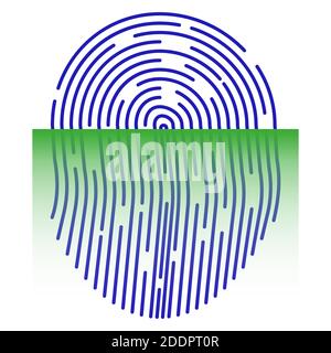 Fingerprint scanner ID symbol. Laser scanning scanning system. Flat style. Fingerprint Security Check. Vector illustration Stock Vector