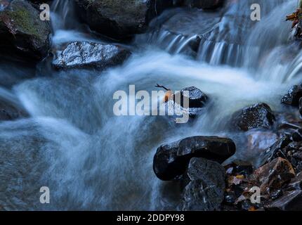 A pattern created by moving water, rendered in cool blue tones, with a lone leaf and a twig on the focal point Stock Photo