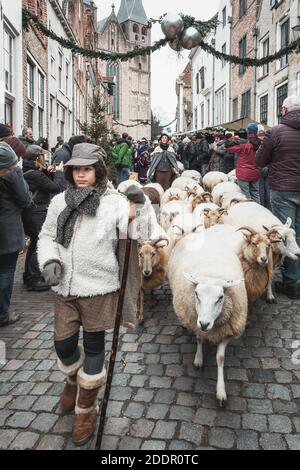 Deventer, Netherlands, December 15, 2018: Shepherdess with sheeps in the streets of the old town of Deventer during the Dickens festival Stock Photo