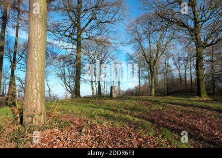 Aconbury Wood in Herefordshire UK - Trig Point in hillside woods owned by the Duchy of Cornwall open to the public.near the village of Kingsthorne. Stock Photo