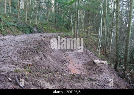 Attenuation pools in Aconbury Wood Herefordshire UK, recently dug by the EA to reduce the damage of water coming down a steep hillside November 2020. Stock Photo
