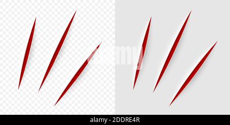 Vector realistic red cut with a office knife on paper sheet isolated. Claws animal scratches on transparent background. Stock Vector