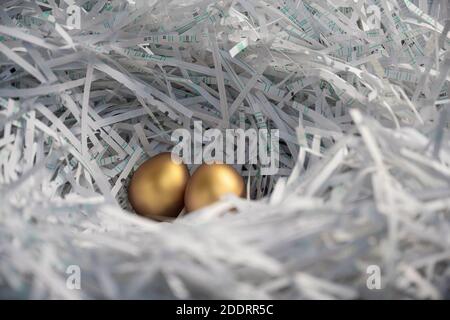 Two golden eggs lie protected in a nest of cut paper strips from the office. Stock Photo