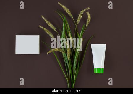 White cosmetic tube with green cap and cardboard box with no logo, flowering spikelets against black studio background. Close up, copy space Stock Photo