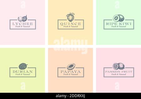 Exotic Fruits Abstract Vector Signs, Symbols or Logo Templates Collection. Hand Drawn Lychee, Passion Fruit, Quince, Durian, Papaya and Kiwi Sketches Stock Vector