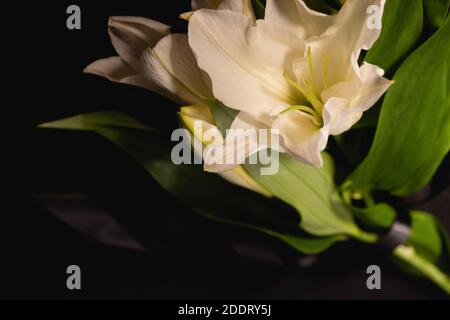 closeup of lily bouquet and ribbon on black background, funeral concept Stock Photo