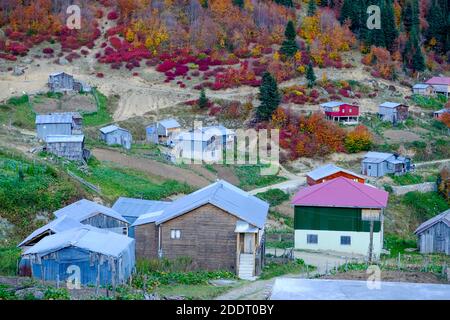 autumn colors in artvin province şavşat district çiripura plateau Stock Photo