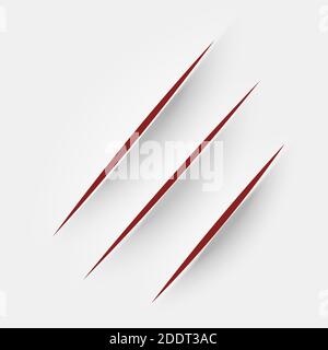Cut paper. Realistic cut with a office knife on paper sheet. Claws animal scratches. Vector incision. Stock Vector