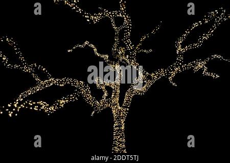 Old tree wrapped in decorative holiday Christmas lights. Stock Photo