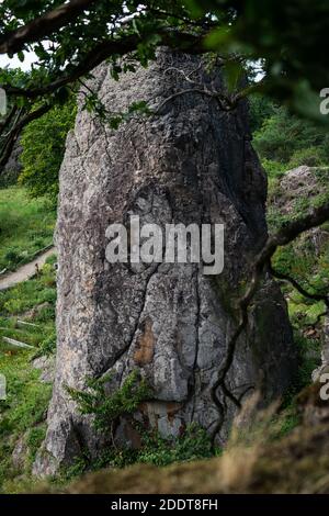 Rock pillar behind branches in front of the rock face at Stenzelberg. Stock Photo