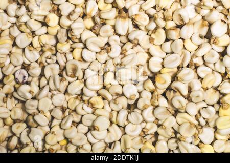 Peeled corn background, top view, close-up Stock Photo