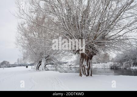 Walkers in the snow on the banks of the River Stour at Flatford in Suffolk after a heavy winter snowfall Stock Photo