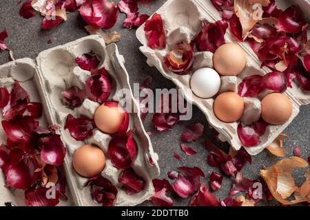 Raw eggs ready to be dyed with onion peels for Easter Stock Photo