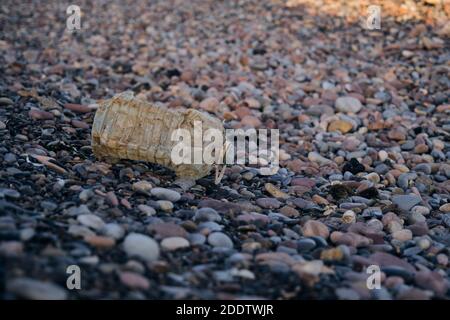 used plastic bottle on the beach Stock Photo
