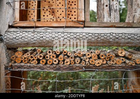 Detail of insect house hotel structure made out of natural wood material created to provide shelter for insects to prevent their extinction Stock Photo