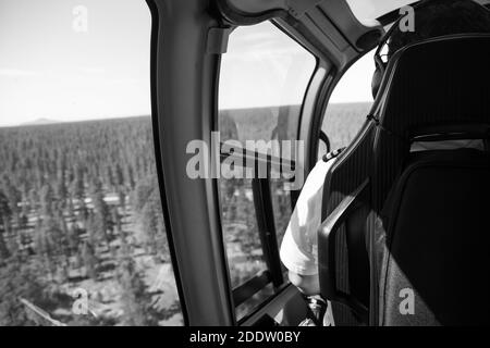 Close up from inside a helicopter while flying over the forest - California forest near Grand Canyon Stock Photo