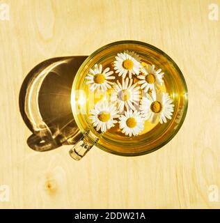 Herbal chamomile tea in a glass mug with chamomile flowers on a light wooden background in bright sunlight and a shadow from the cup. Healthy food, ho Stock Photo
