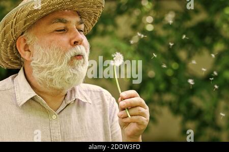 Allergic to pollen of flowers. cognitive impairment. Joy during early spring. old age and aging. spring village country. symbol of thin gray hair. old man blow dandelion flower. Alzheimer dementia. Stock Photo