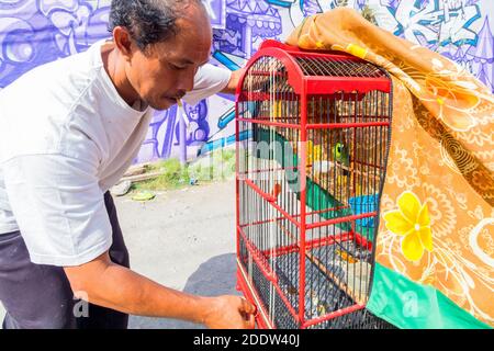 A Bird Cage in Yogyakarta Stock Photo - Alamy