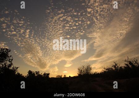 Landscape of a sunset in which the clouds take on the red colors of the warm light of the setting sun Stock Photo