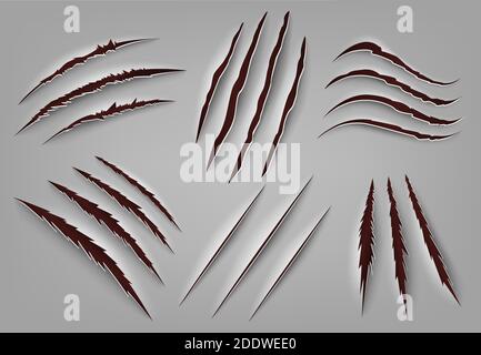 Realistic animal claw scratch. Wild animal or monster ripped rough holes, beast claws scratch mark. Claws scratches vector illustrations Stock Vector