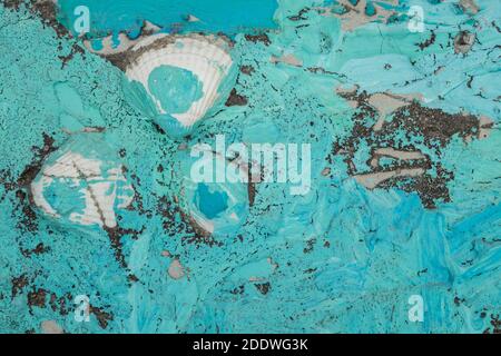 backround pattern from seashells and blue paint Stock Photo