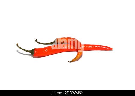 Chili pepper isolated on white background. Ripe chili pepper Stock Photo