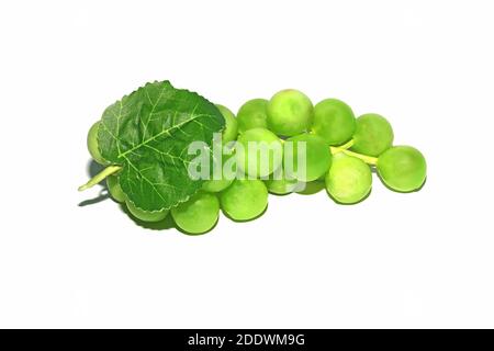 Green grape with leaves isolated on white. With clipping path. Stock Photo