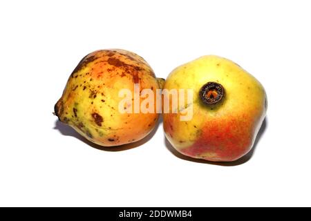 Fresh Pomegranate isolated on white backgrounds Stock Photo