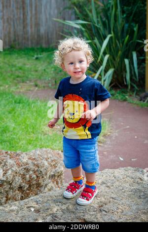 A young blonde haired Caucasian toddler boy aged 18 months dressed in a blue t-shirt with a yellow lion and shorts stands looking towards the camera Stock Photo
