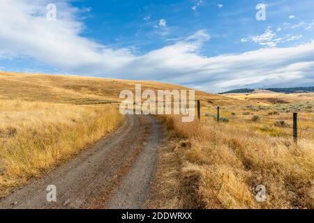 Country, dirt road between fields with yellow grass, near a fence with barbed wire to the hill. Green forest and blue sky with white clouds in the bac Stock Photo