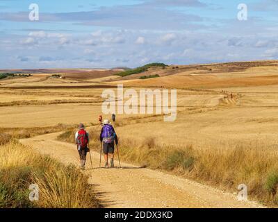 Pilgrims walk on an open dirt road through the Meseta - Castrojeriz, Castile and Leon, Spain Stock Photo