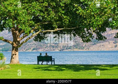 Lovely couple on retirement sitting on a bench under the crown of chestnut tree Stock Photo