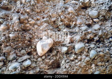 Soil Cross Section of Vineyards in Mendoza Argentina Stock Photo