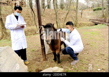 Qingdao, China. 26th Nov, 2020. The doctors are taking health ...